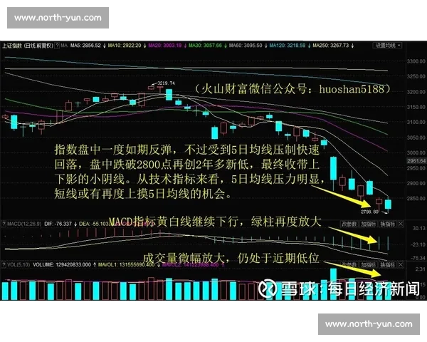 里斯本竞技对阵阿维斯全面解析：战术对抗与胜负关键因素深度解读